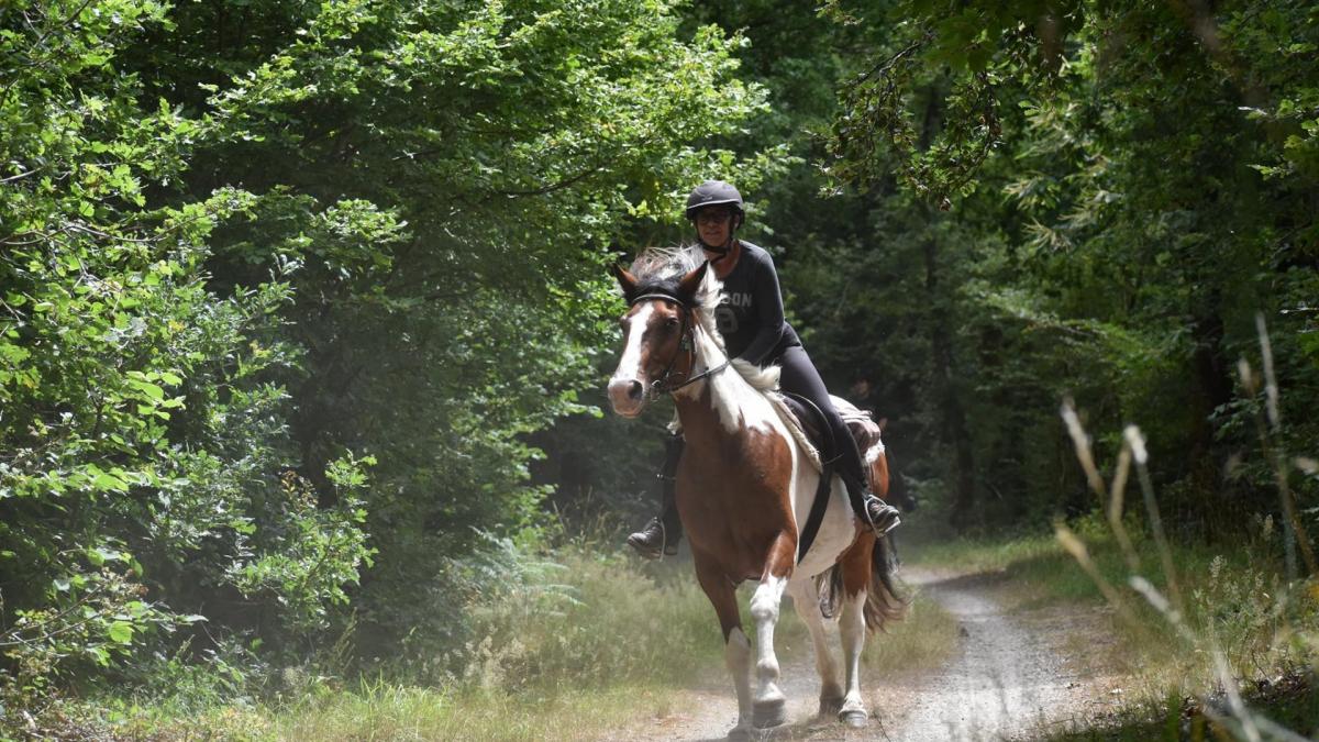 118519669 2694420037553187 7928125455311624484 n