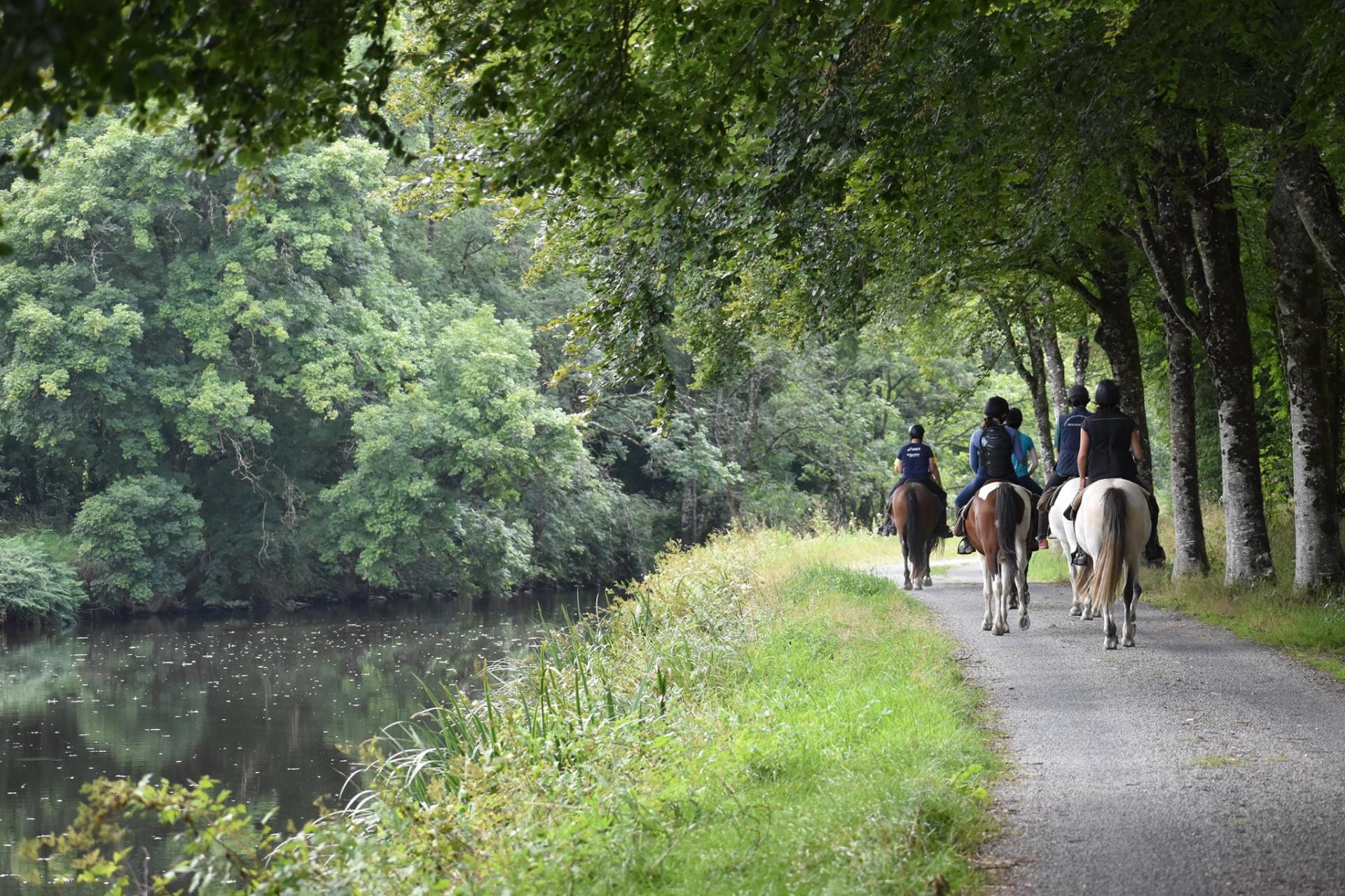 239283395 2982263842102137 5982123619017567195 n