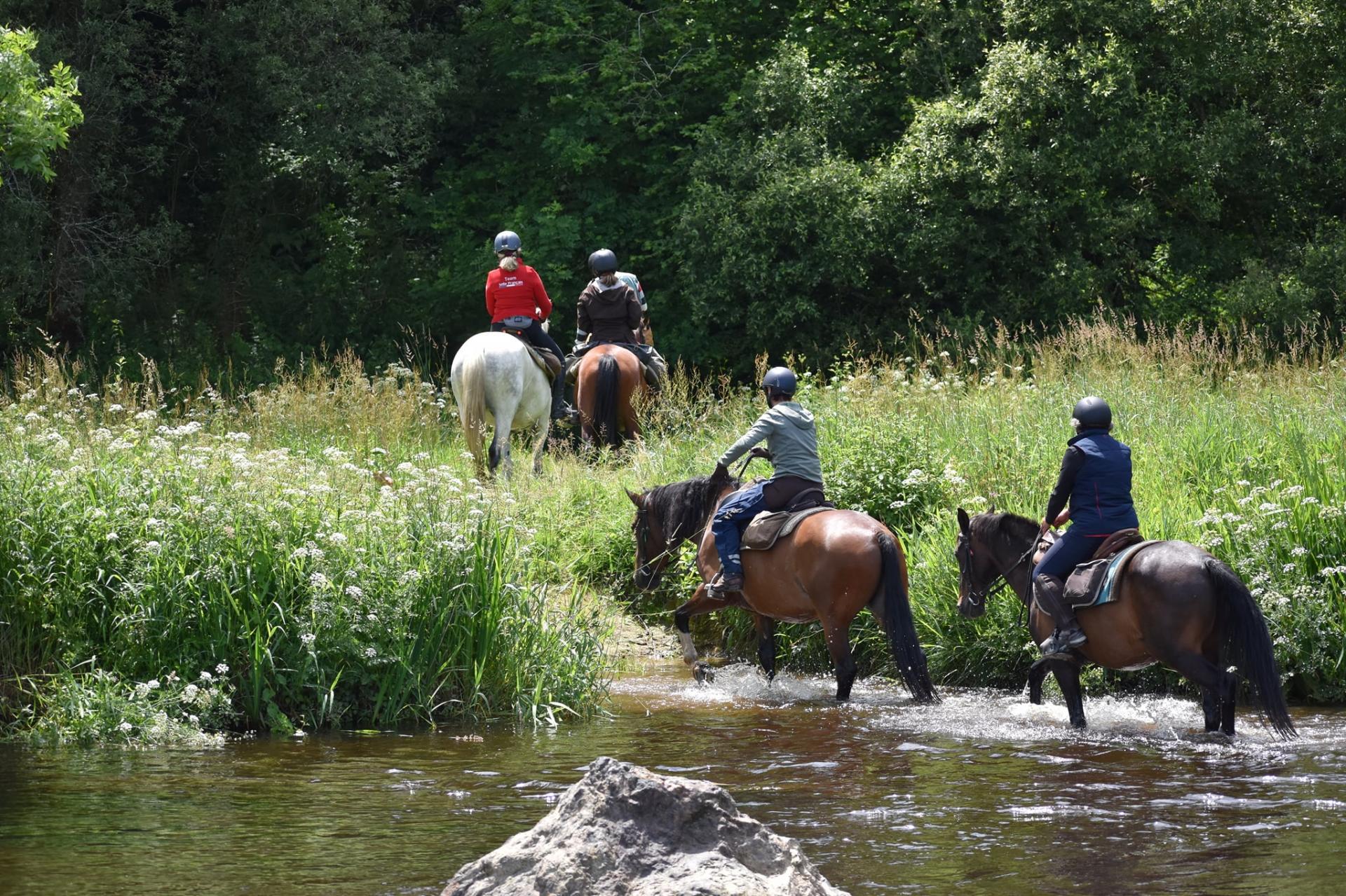 249499855 3076262219286404 1600804894887127068 n 1